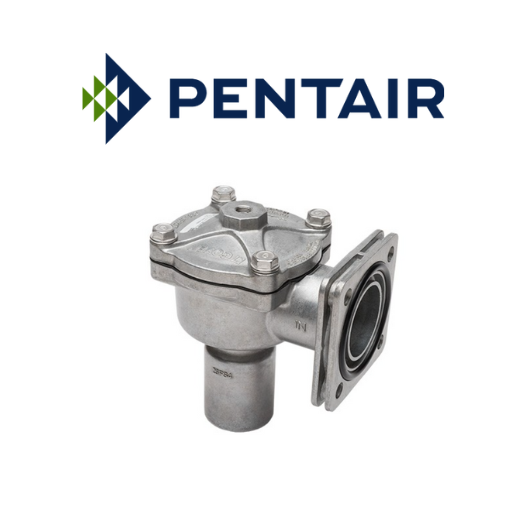 Pentair Valves and Spares